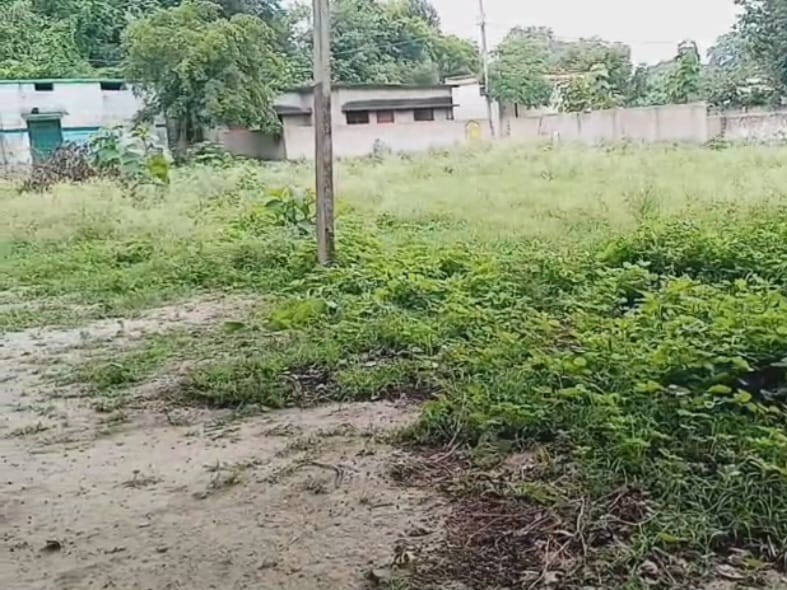 The truth about the cleanliness drive was revealed in Ranipur