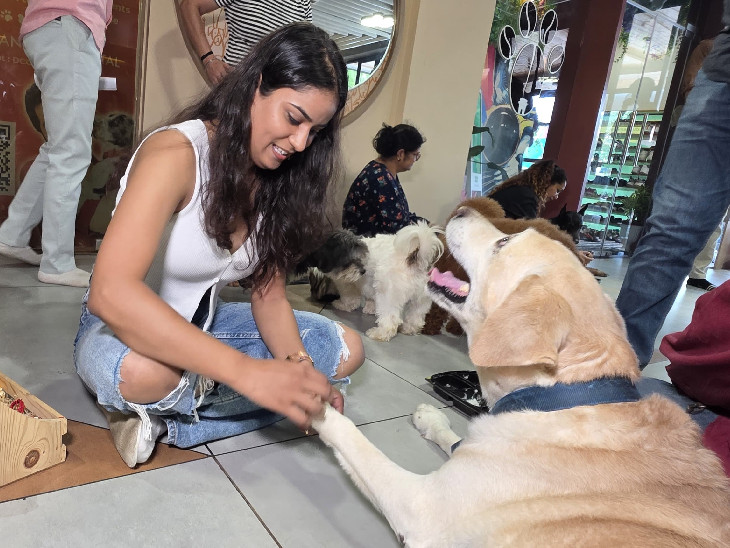 इवेंट्स में गोल्डन रिट्रीवर, लैब्राडोर समेत कई नस्ल के डॉग्स शामिल हुए थे।