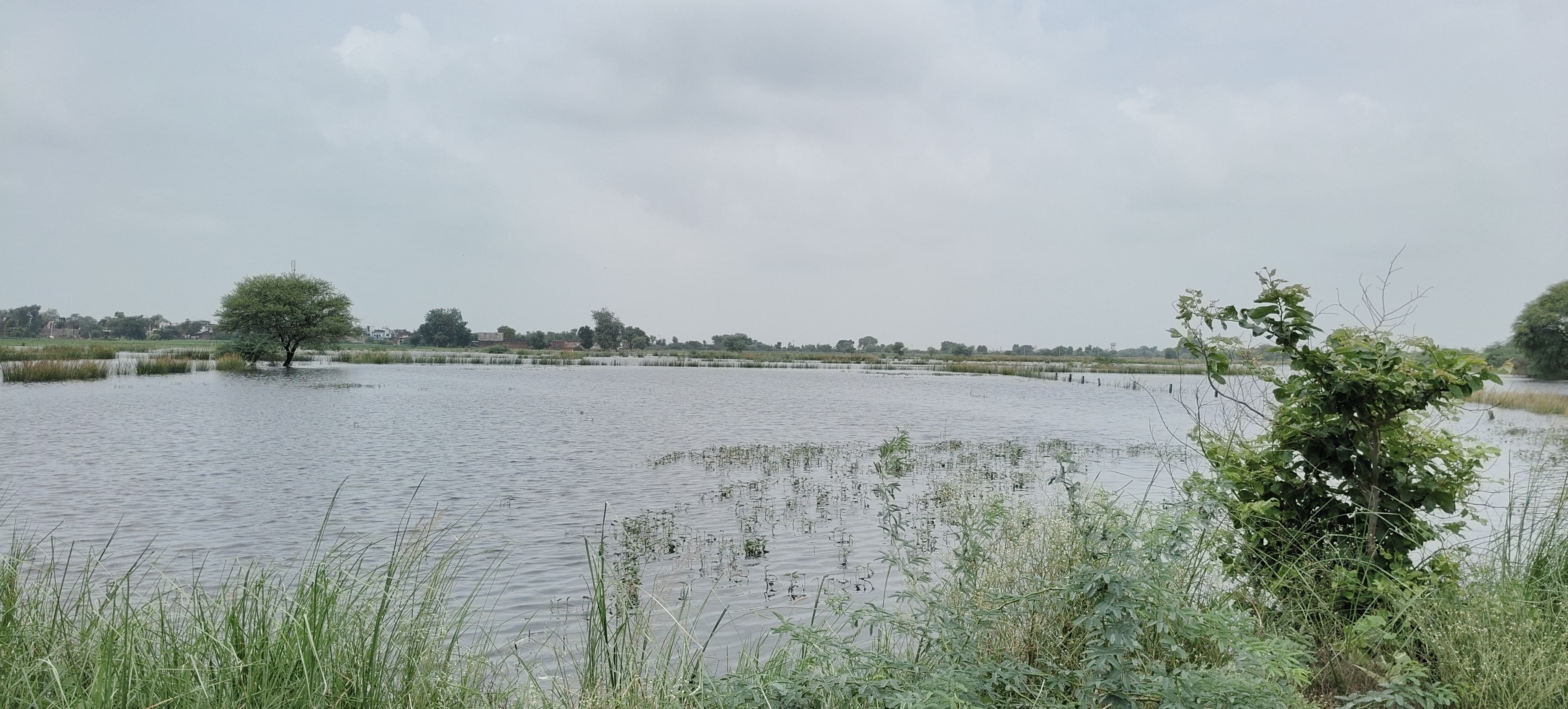 पांचना बांध और बांध बरैठा से आये पानी के बाद कौंधनी बांध पानी से हुआ लबालब।