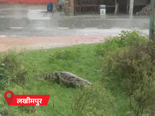 comp 128 1 1754193577