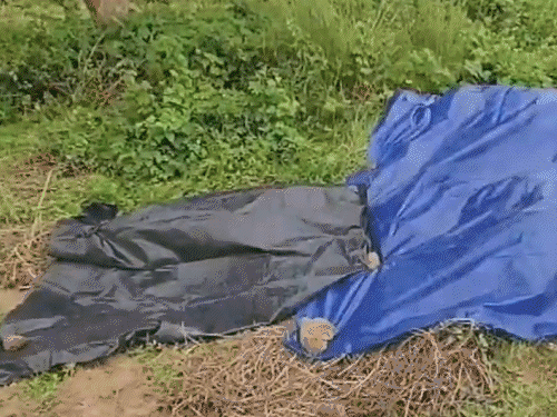 घटना स्थल की फोटो। इसे पुलिस ने काली पॉलिथीन से कवर कर दिया था।