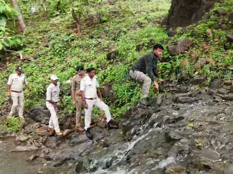 डीएफओ का कहना है कि किसी भी संदिग्ध गतिविधि की जानकारी तत्काल विभाग को दें।