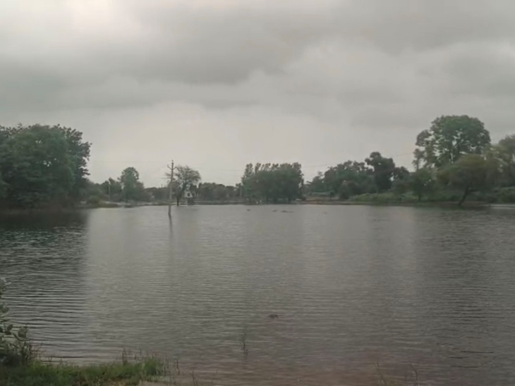 बारिश के पानी से खेत और खलियान भरे।