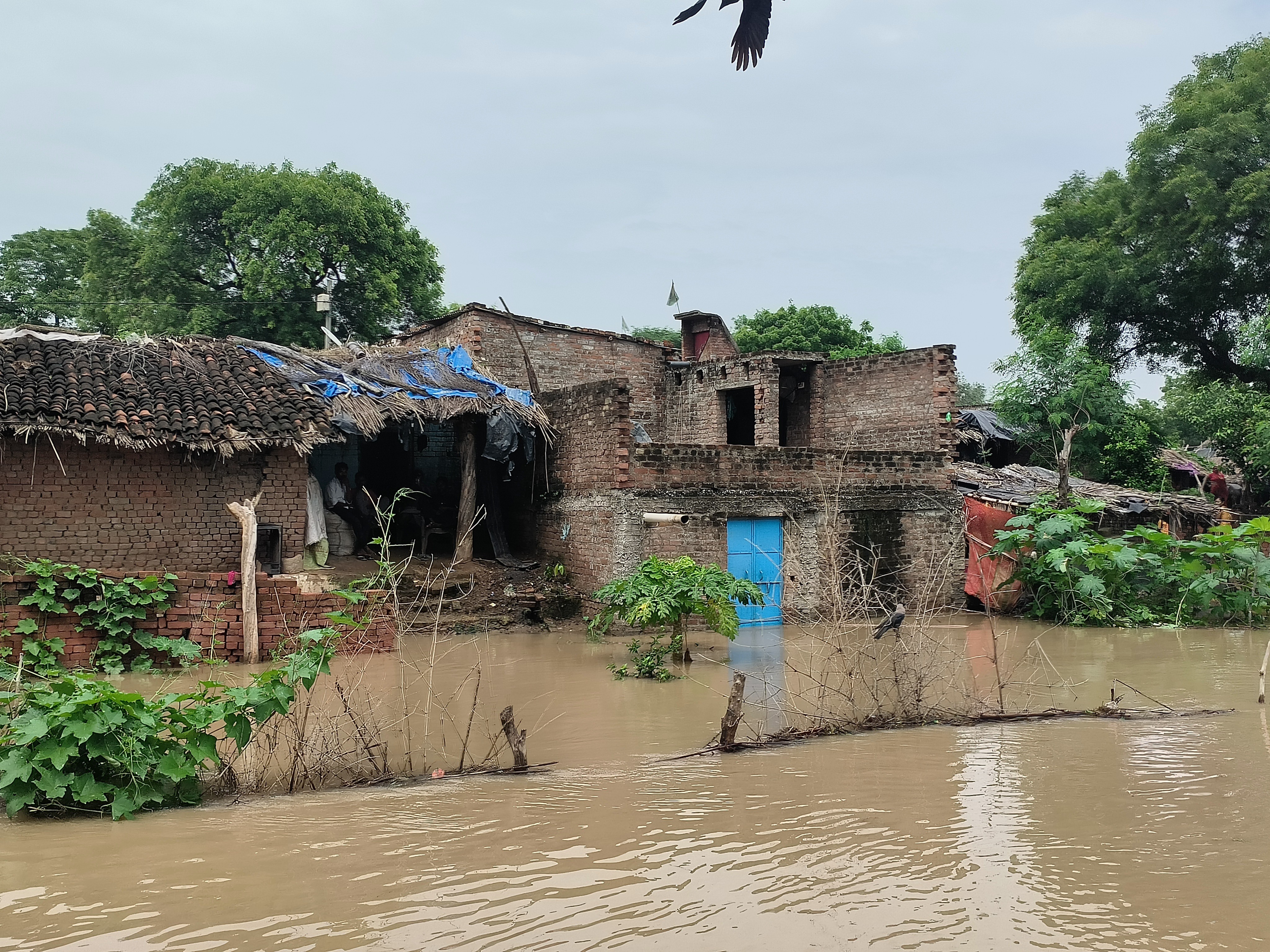 कानपुर के यमुना नदी का जलस्तर बढ़ने से कटरी और तटवर्टी गांव डूब गए हैं। - Dainik Bhaskar