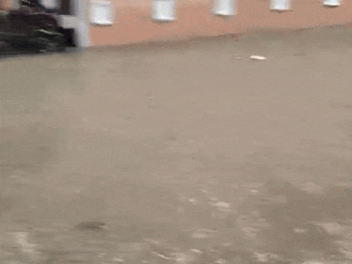 लोग अपने घरों में भरा हुआ पानी निकालते हुए।