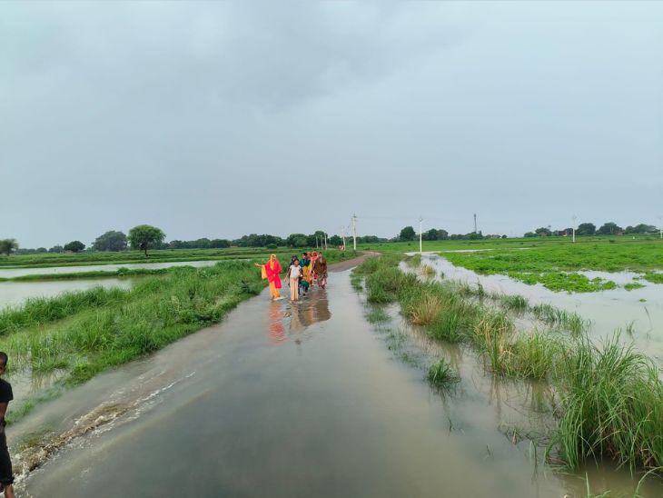 बाढ़ में कई गांवों की हजारों बीघे फसलें पूरी तरह डूब चुकी हैं।