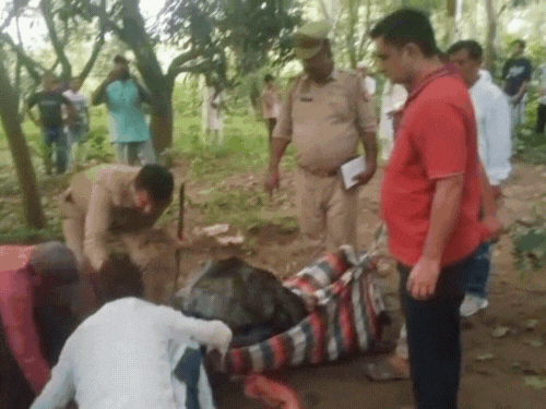 आम के बाग में अल्का का क्षत विक्षत शव बरामद हुआ। पेट से से मांस गायब था। गले और हाथ को भी तेंदुआ खा गया था।
