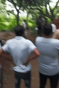 जब तक ग्रामीण आम के बाग में पहुंचे अल्का का शिकार करके तेंदुआ फरार हो चुका था।