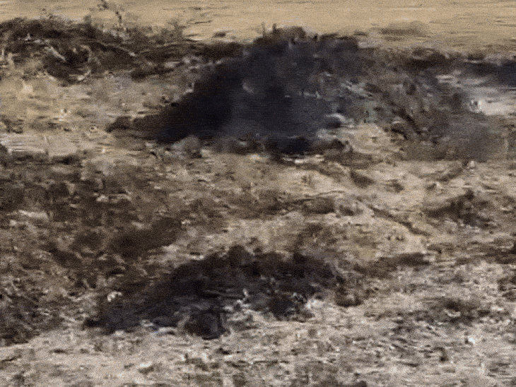 शिव विधायक पुलिस-प्रशासन को अपने साथ जले हुए खेजड़ी के पेड़ तक ले गए। जहां से धुआं निकल रहा था।