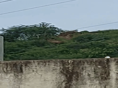 लोग घरों से बना रहे है वीडियो।