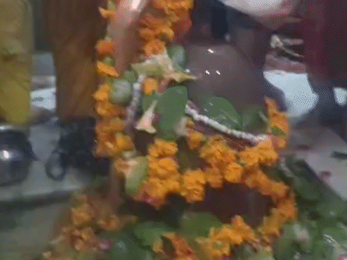 सोडाला स्थित सिद्धेश्वर हनुमान मंदिर में हरिद्वार से लाए गए गंगाजल से अभिषेक किया गया।