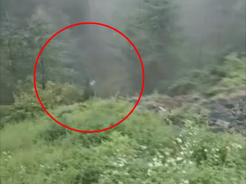 Alto car fell into a drain of about 300 meters deep from the road in Janjhali, Mandi