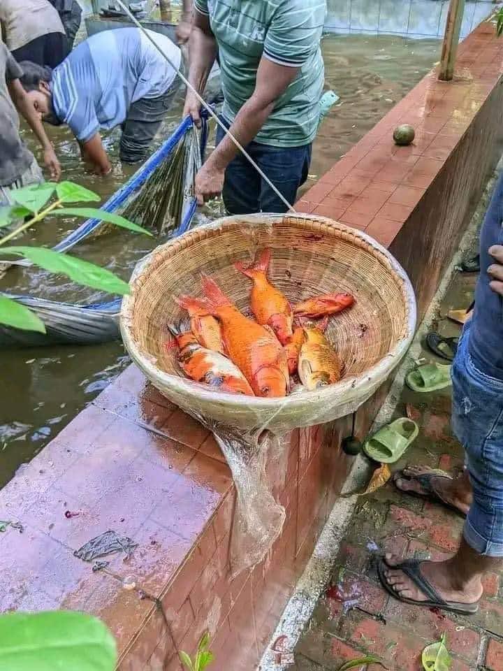 Nemasta namasa त yasa nasa nasa nasa rasarे raurmशक शक.