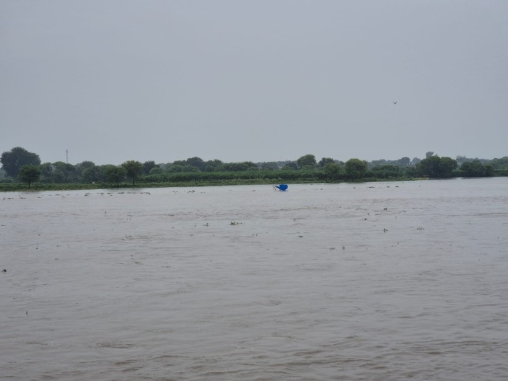 जल बढ़ने से यमुना अपने स्वरूप में नजर आ रही है