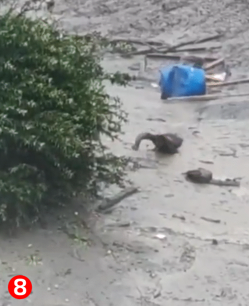 मलबे में दबने से 4 लोगों की मौत और 50 लोग लापता हैं। इस दौरान एक व्यक्ति मलबे से रेंगते हुए निकलता नजर आया।