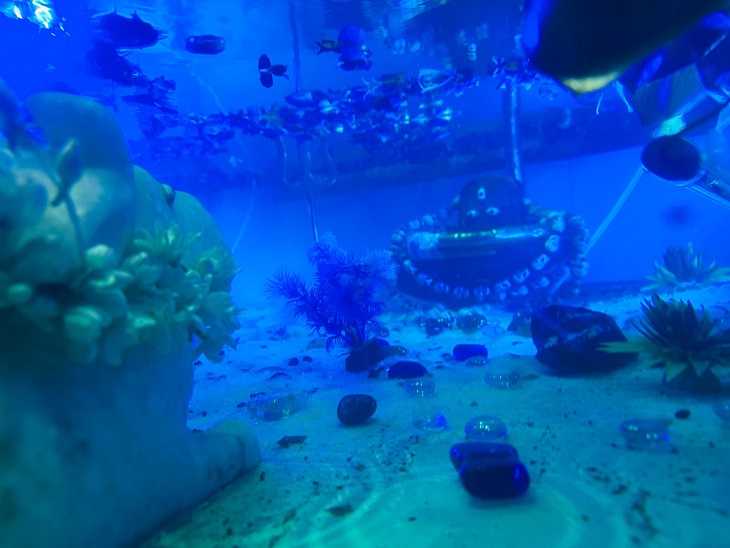 रामगिरी स्थित रामेश्वर महादेव मंदिर में भगवान शिव सहित पूरे शिव परिवार का विशेष जलमग्न श्रृंगार किया