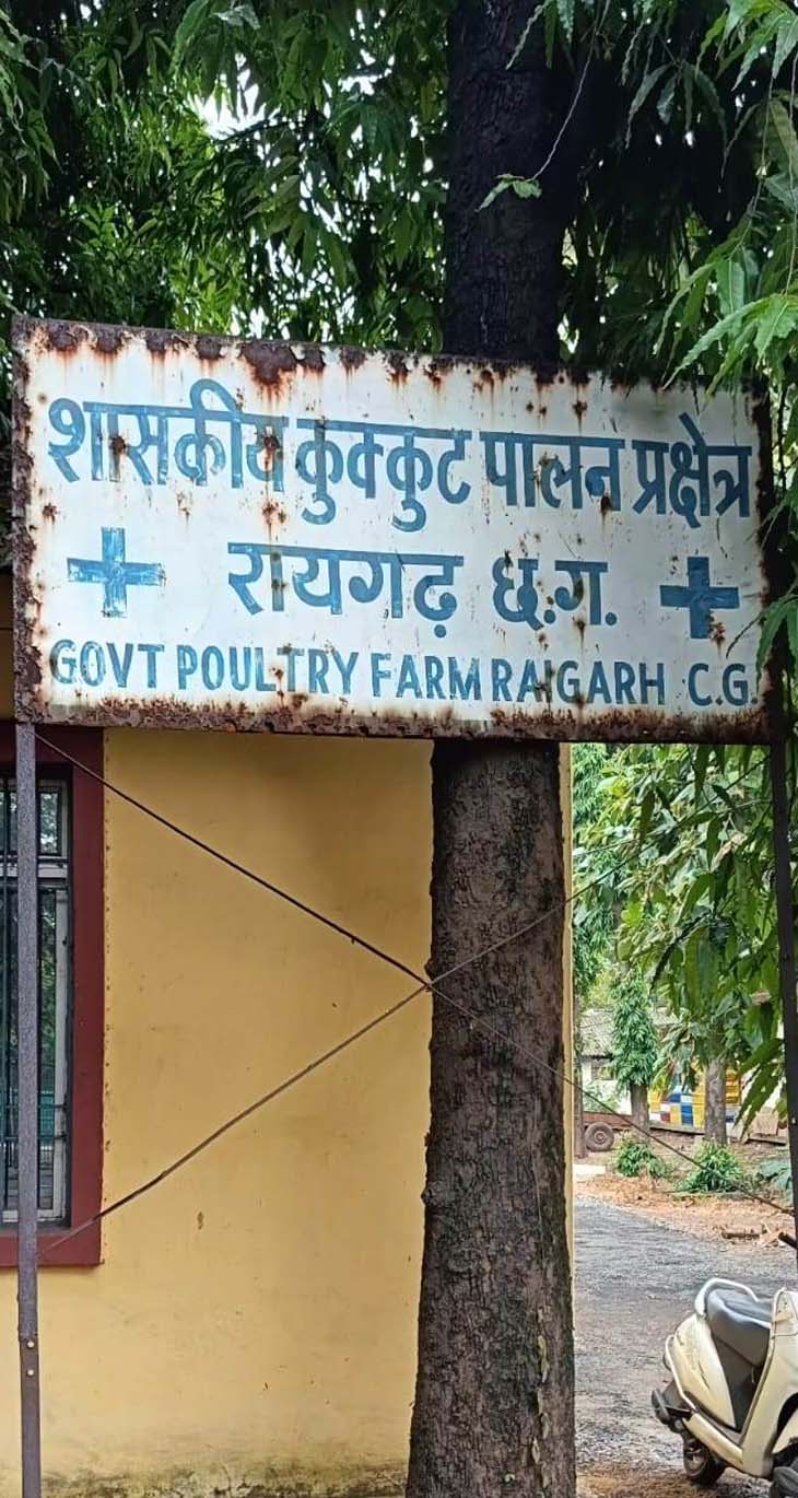 जनवरी माह में सरकारी पोल्ट्री फार्म में बर्ड ब्लू की पुष्टि हुई थी।