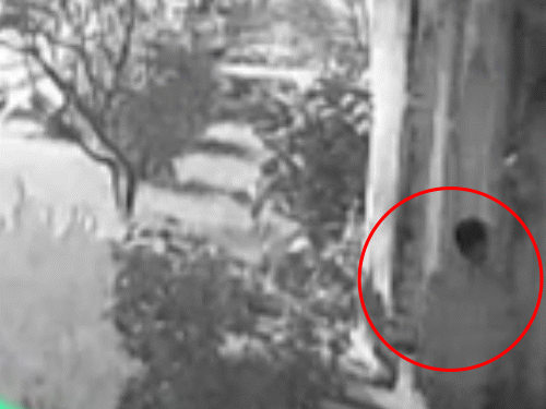 आरोपी पैलेस की ओर से आकर पीछे के रास्ते से कोठीघर में घुसा था।