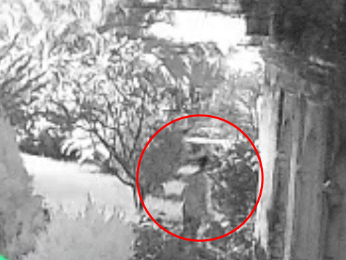 आरोपी की तस्वीरें परिसर में लगे CCTV कैमरे में कैद हो गई।