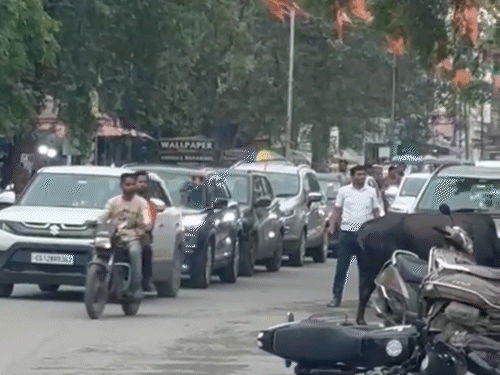 2 सांड लड़ रहे थे। इसी बीच कुछ लोग बिना डरे निकलते नजर आए।