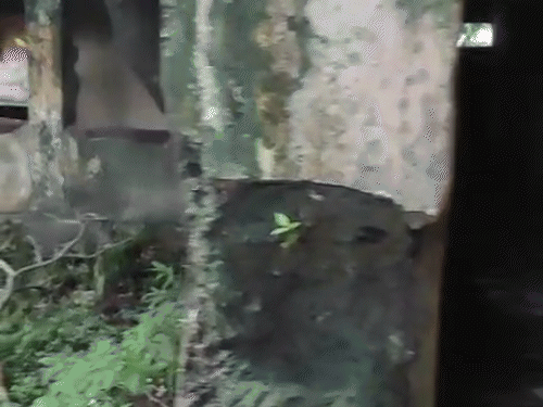 एक साल पहले मरम्मत के बहाने स्कूल प्रबंधन ने भवन को खाली करा दिया। कक्षाएं पास की दूसरी बिल्डिंग में शिफ्ट कर दी गई।