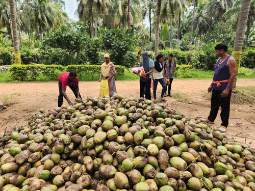 लोग झोला लेकर लाइन में खड़े होकर अपनी बारी का इंतजार कर रहे।