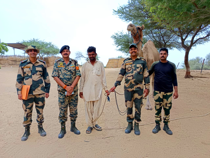 अब ग्रामीण करेंगे ऊंटों की सेवा।