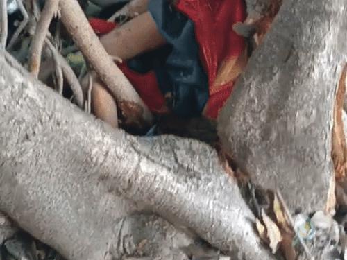 हादसे में महिला का शव ट्रक और पेड़ के बीच फंस गया।