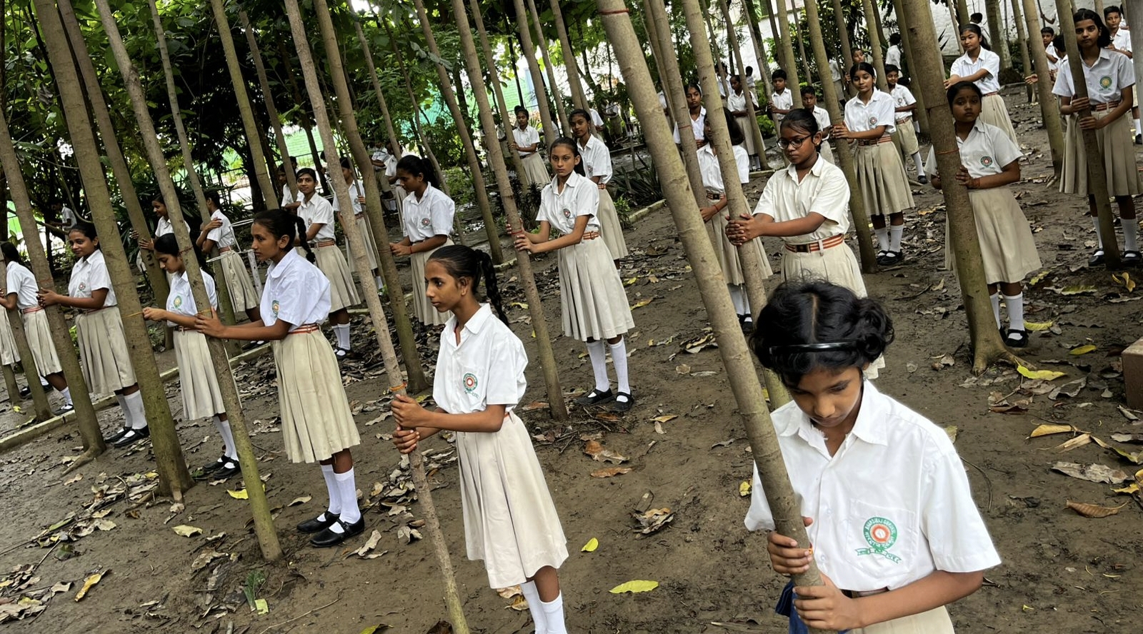 बेगूसराय में स्कूली बच्चों ने पेड़ों को बांधी राखियां: वृक्ष की रक्षा का संकल्प लिया, कहा- ये हमारे लिए पूजनीय, इनसे ही हमारा जीवन है - Begusarai News 1 संरक्षण का संकल्प