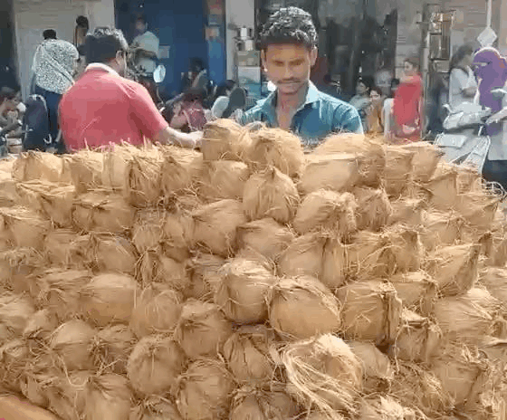 बाजार में नारियल की बिक्री जोरों पर है
