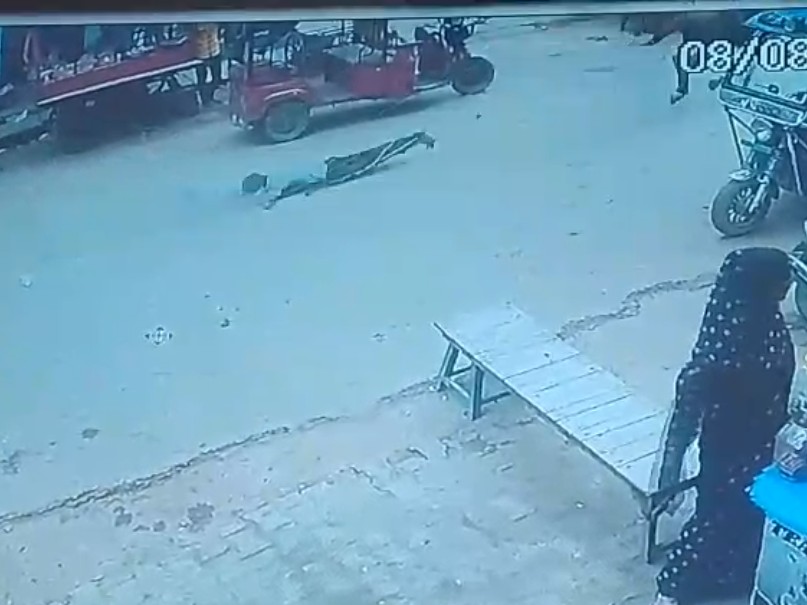 In Siddharthnagar, an unbridled horse dragged an innocent child for 300  meters | सिद्धार्थनगर में बेलगाम घोड़े ने मासूम को 300 मीटर घसीटा: हालत  गंभीर, आक्रोशित लोगों ने की ...