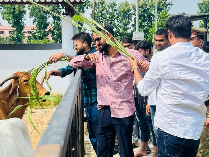 Cricketers Akashdeep and Mukesh Kumar fed the cow in the cowshed inside the Gorakhnath temple.