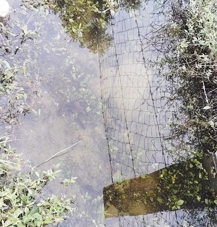 लहूलुहान युवती 4-5 घंटे प्लॉट में भरे पानी में पड़ी रही थी।