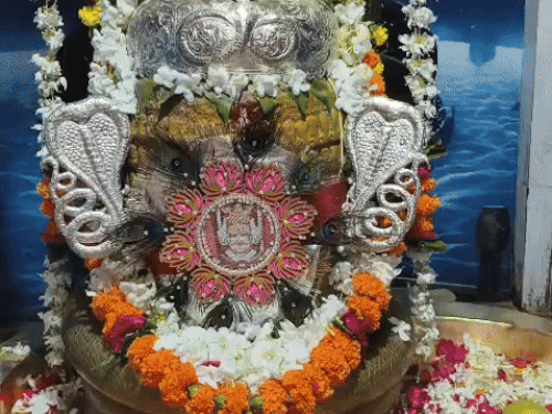 हजारेश्वर महादेव को बांधी राखी।