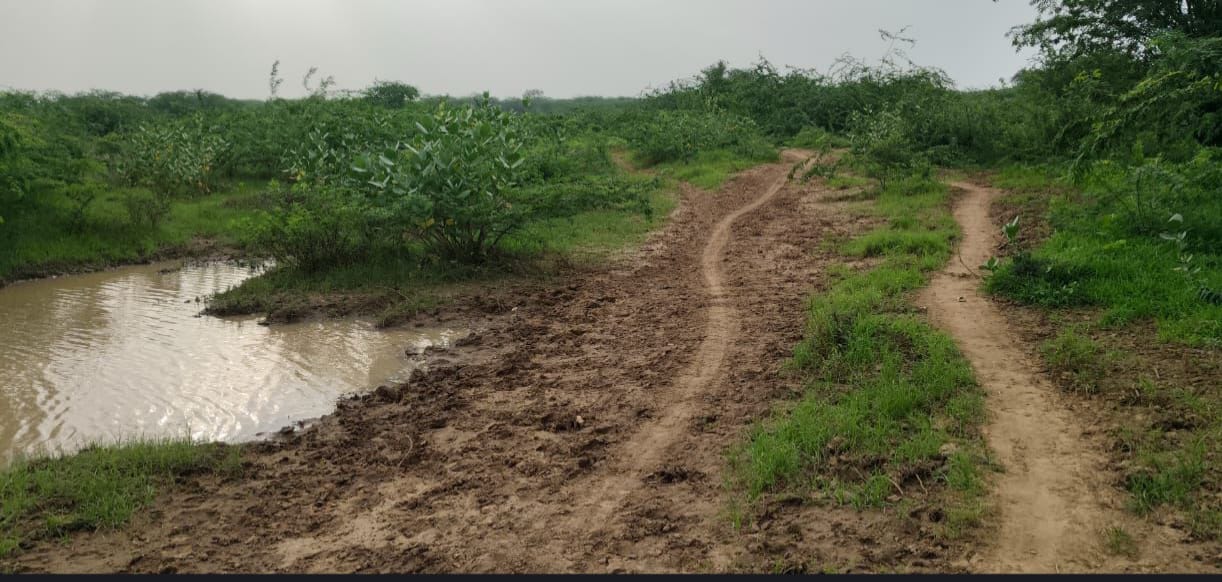 पानी आने से कलापुरा व मौके के बीच का रास्ता हुआ बंद