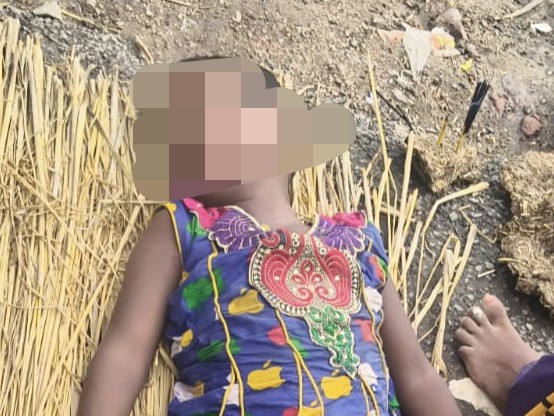 10 वर्षीय बच्ची की सांप के काटने से मौत: शेखपुरा में 6 महीने के भाई को पहली बार बांधी थी राखी, जमीन पर सोते समय हादसा - Sheikhpura News 1 10 वर्षीय बच्ची की सांप के काटने से मौत: शेखपुरा में 6 महीने के भाई को पहली बार बांधी थी राखी, जमीन पर सोते समय हादसा - Sheikhpura News