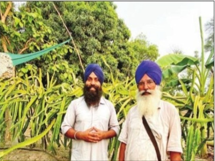 अपने खेत में चमकौर सिंह और इंदरजीत सिंह। - Dainik Bhaskar