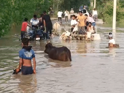 UP के मुरादाबाद में रविवार को रामगंगा नदी पर बाढ़ के चलते सड़कों पर पानी भर गया।