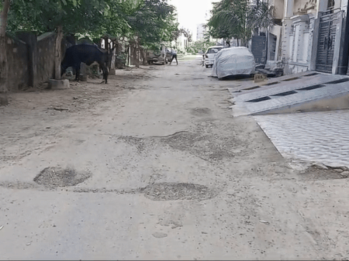 क्षेत्र की टूटी पड़ी सड़कें।