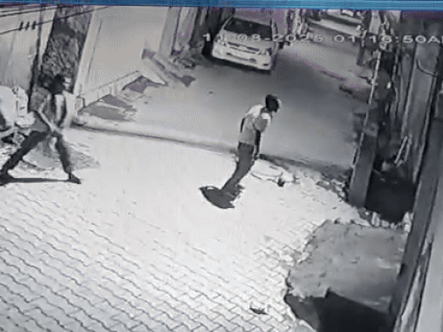 घर के बाहर ईंटे-पत्थर बरसाते आरोपी। - Dainik Bhaskar