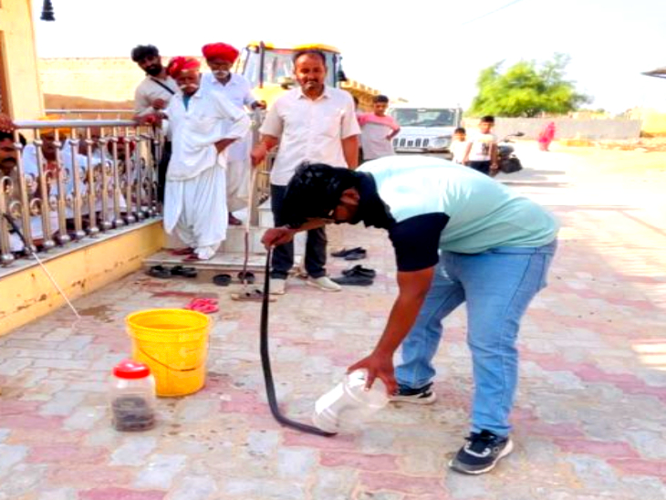 कोबरा प्रजाति के सांप को रेस्क्यू करते स्नेक कैचर साहिल खान।