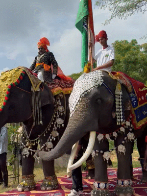 हथिनी हेमा ने हाथी बाबू के साथ रैंप वॉक की। हेमा के महावत ने भी राजस्थानी पोशाक पहनी।