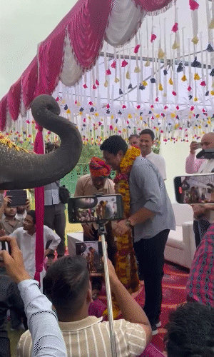 कैबिनेट मंत्री अविनाश गहलोत का हथिनी चंदा ने माला पहनाकर स्वागत किया।