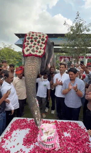 इवेंट के दौरान हथिनी जोनाली का 18वां बर्थडे सेलिब्रेट किया गया। जोनाली से केट कटवाया गया।