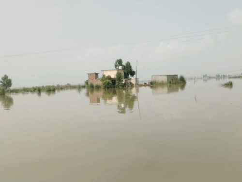 सुल्तानपुर लोधी में ब्यास नदी का अस्थायी बांध टूटा और डीसी जांच करने पहुंचे। - Dainik Bhaskar
