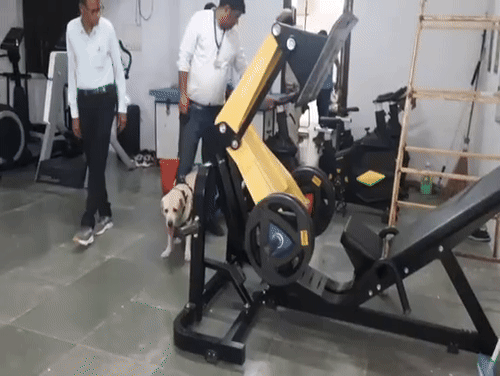 डॉग स्क्वायड की खास बात यह रही कि इसमें शामिल डॉग ‘डोली’ ने आखिरी बार जांच में हिस्सा लिया।