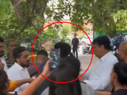 In the video, lawyer Dog Lover was seen slapping twice.