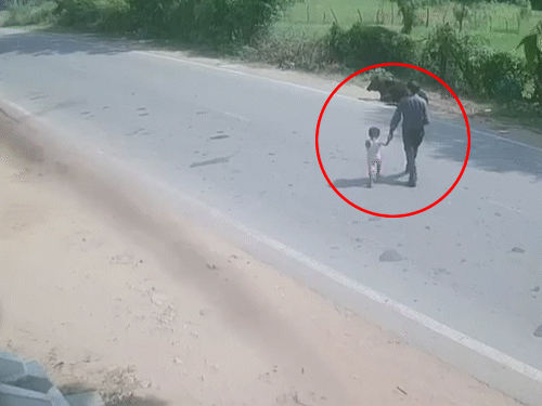 तेजी से आई बाइक ने कृषिका को जोरदार टक्कर मारी। कृषिका करीब 20 फीट तक बाइक के साथ घिसटती चली गई।