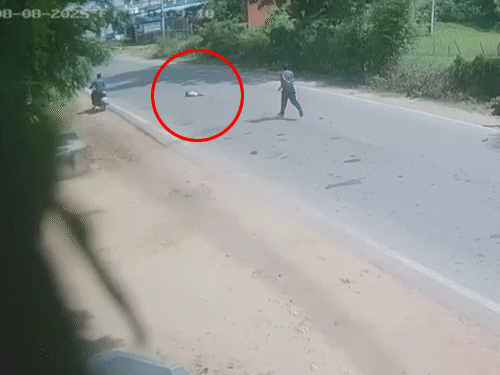 एक्सीडेंट के बाद बदहवास दादा कृषिका की ओर दौड़े। उन्होंने उसको गोद में उठाया और हॉस्पिटल ले गए।