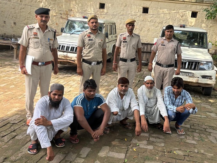 झड़प के बाद पुलिस ने 5 आरोपियों को पकड़कर न्यायिक हिरासत में भेजा है। पांचों राजस्थान के अलवर के रहने वाले हैं।